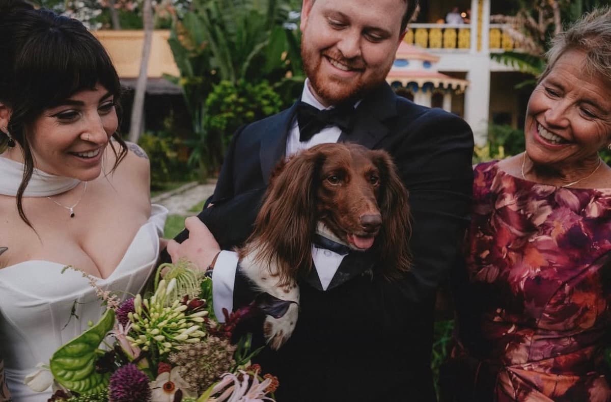 Pet Wedding & Event Attendant
